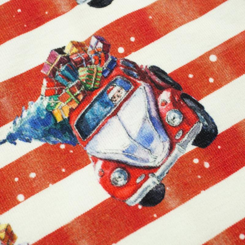 WEIHNACHTSMANN SCHLITTEN - Single Jersey TE210