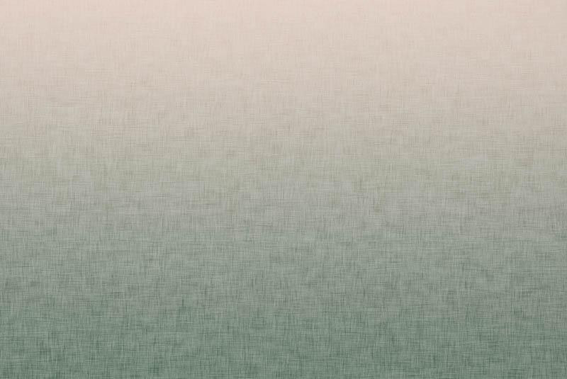 OMBRE / ACID WASH - grün (blass rosa) - Panel, Softshell