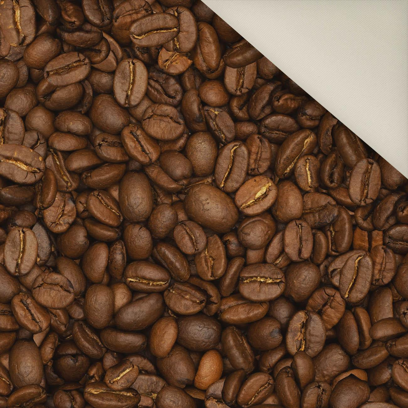 KAFFEEBOHNEN - Polster- Velours