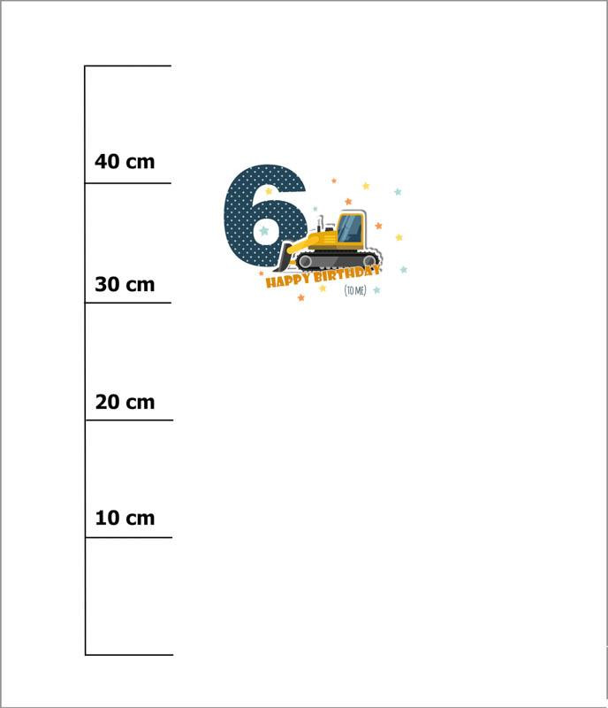 6. GEBURTSTAG / BULLDOZER - Panel