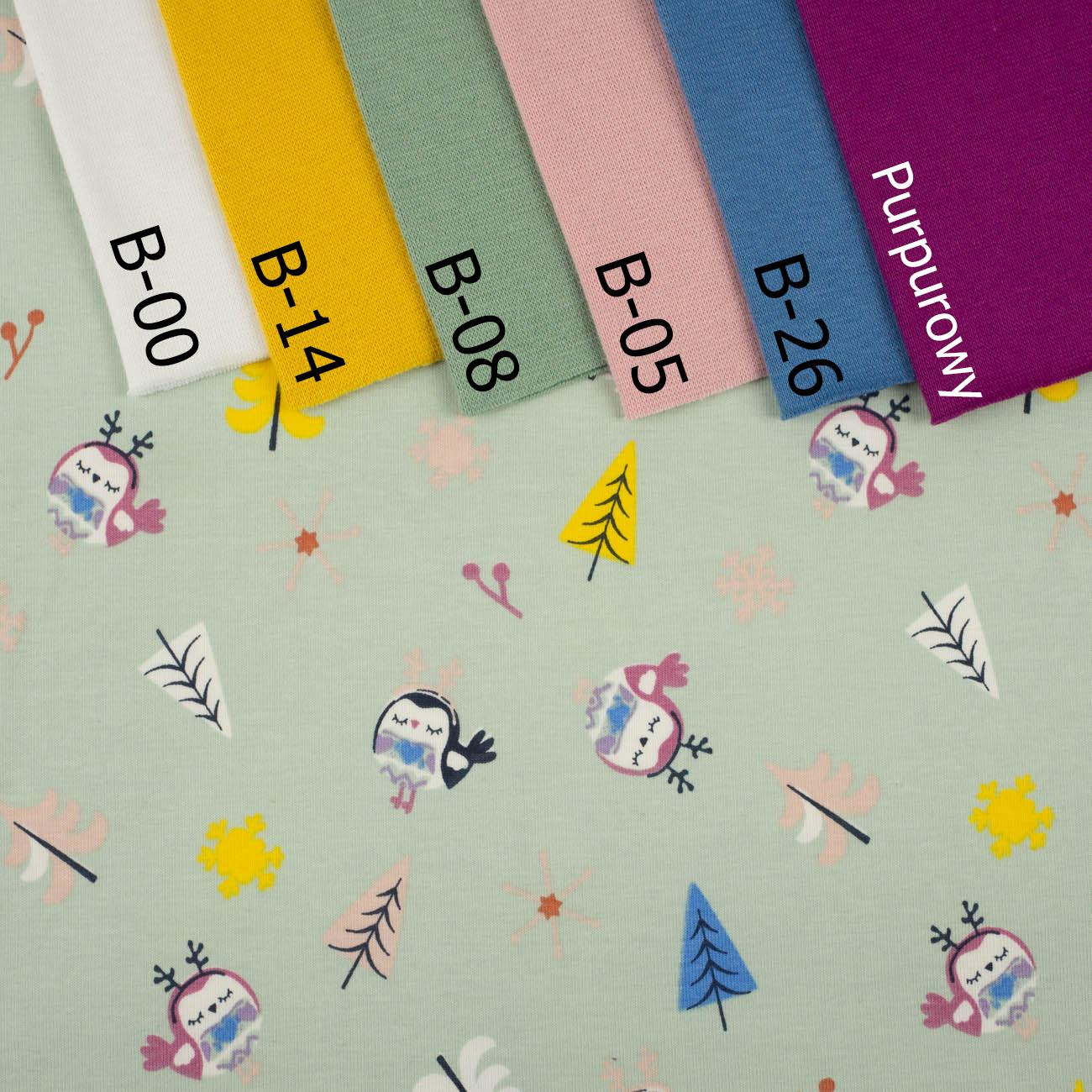WINTERSPATZEN / Mint - Single Jersey TE210