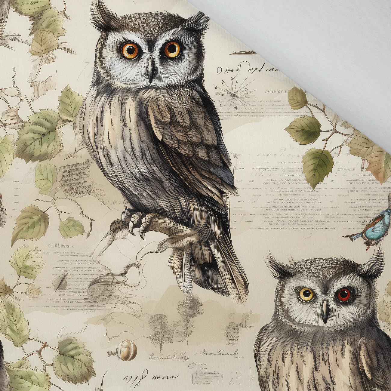 PASTEL BIRDS M. 4 (EULE) - leichte Maschenware angeraut