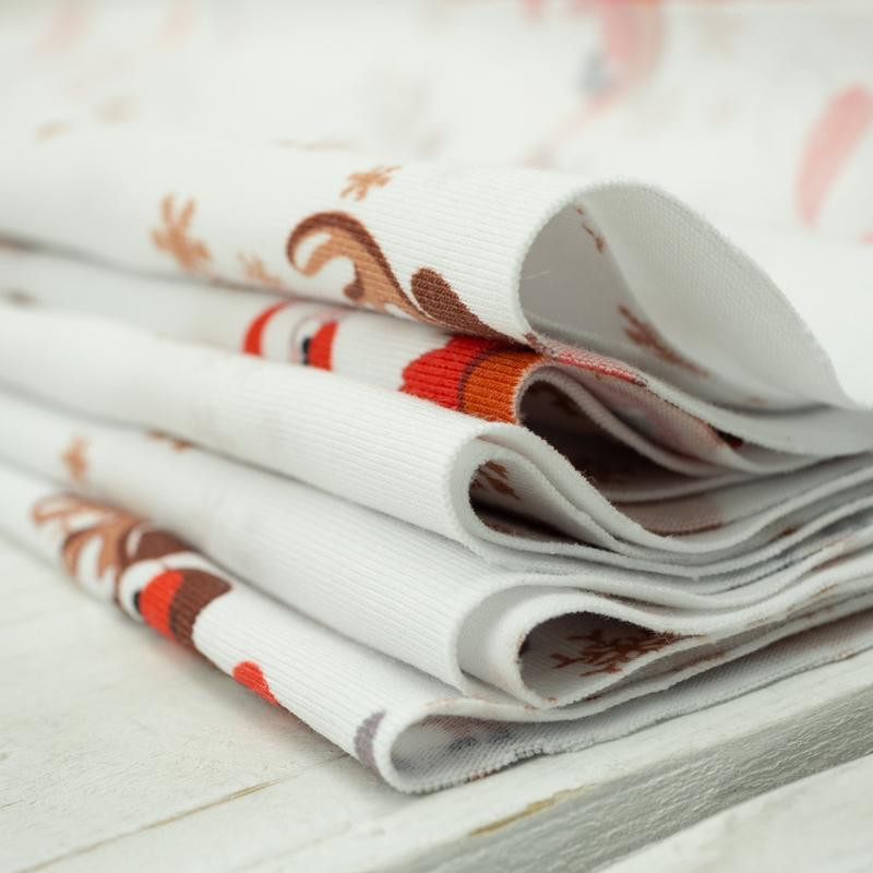 NIKOLAUS-GESPANN / weiß - bio single jerset mit Elastan TE210 Sommersweat