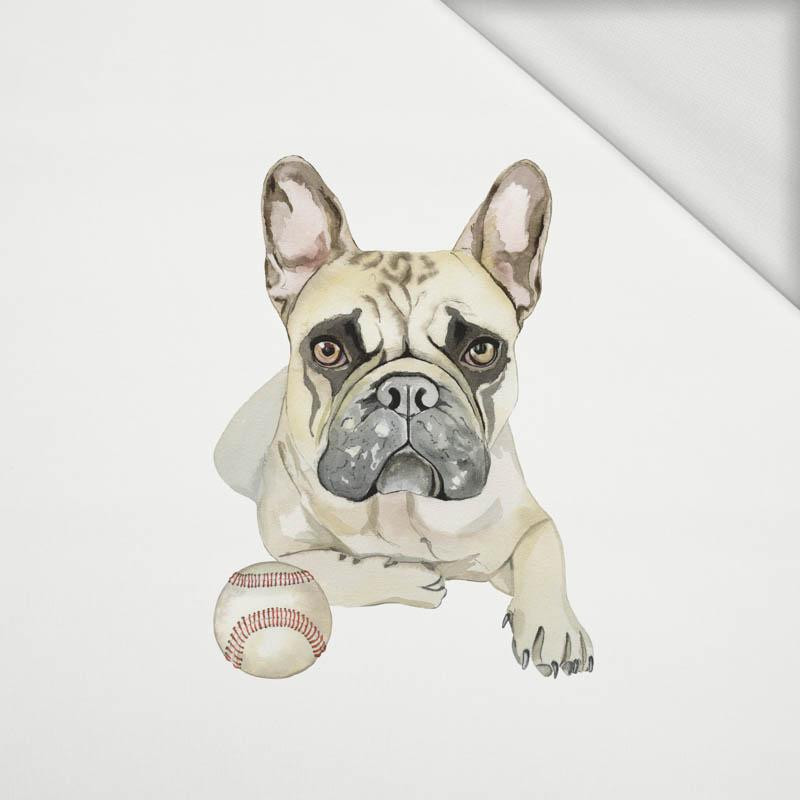 BULLDOG / beige - Paneel Sommersweat  50cm x 60cm