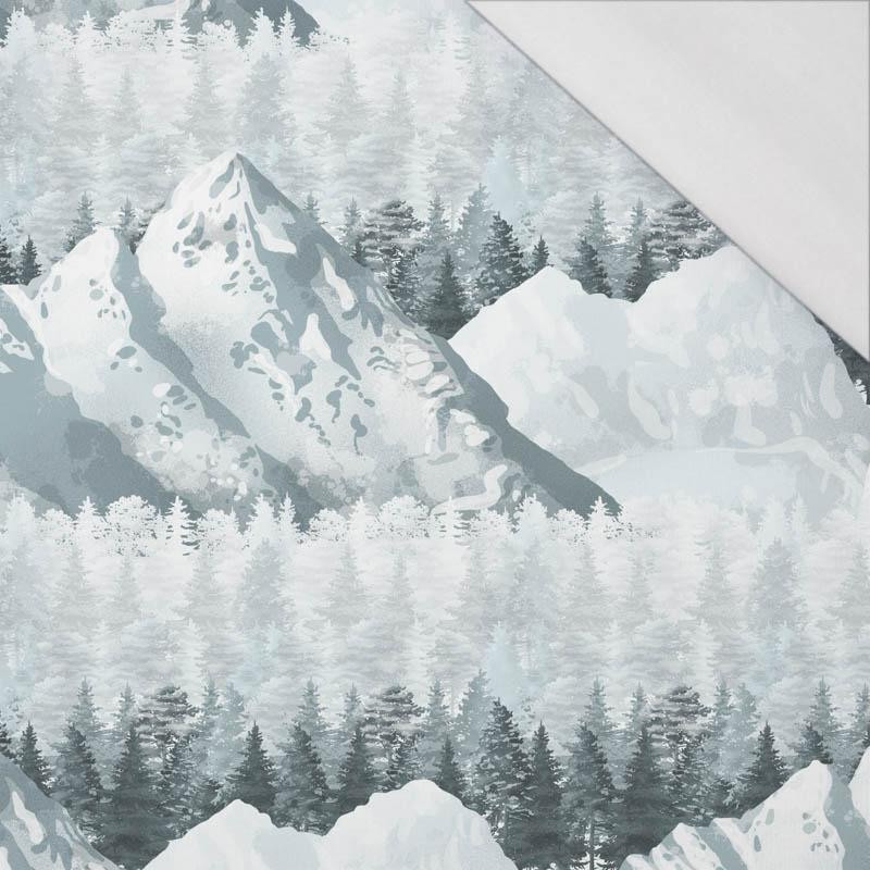 50CM SCHNEEBEDECKTE GIPFEL (WINTER IM GEBIRGE) / groß - Single Jersey 120g