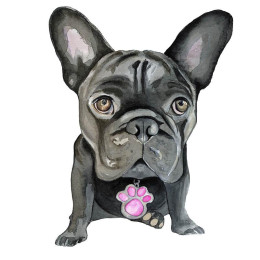 BULLDOG / schwarz - Paneel 75cm x 80cm