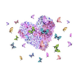 HEART / Blumen und Schmetterlinge - Paneel (75cm x 80cm)