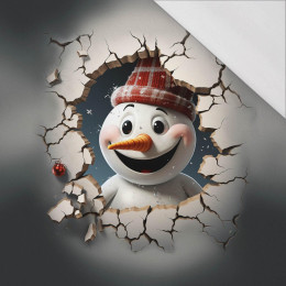 HAPPY SNOWMAN - Paneel (60cm x 50cm) SINGLE JERSEY 