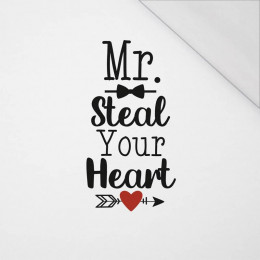 MR. STEAL YOUR HEART (HAPPY VALENTINE’S DAY) - SINGLE JERSEY PANEL 50cm x 60cm