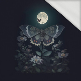 NIGHT BUTTERFLY - Paneel (75cm x 80cm) Sommersweat mit Elastan ITY