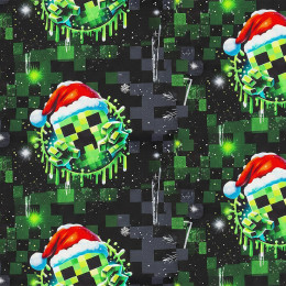 WINTER PIXEL WZ.2