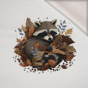 SLEEPING RACCOON - Paneel (75cm x 80cm) Wintersweat angeraut mit Elastan ITY