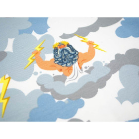 ZEUS - Single Jersey TE210