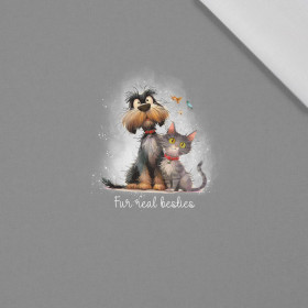 ANIMALS CUTE wz.14 - panel (60cm x 50cm)   Baumwoll Webware