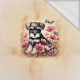 ANIMALS CUTE wz.1 - panel (60cm x 50cm) Sommersweat