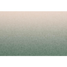 OMBRE / ACID WASH - grün (blass rosa) - Paneel, Sommersweat 