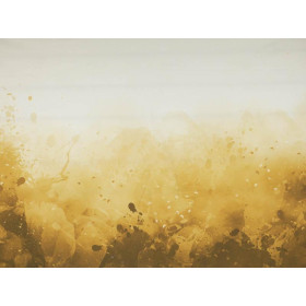 KLECKSE (gold) - Paneel Sommersweat 