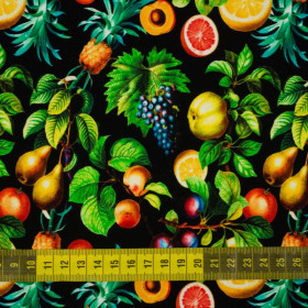 MINI PARADIESFRÜCHTE ms. 1 (PARADIESGARTEN)  - Single Jersey 