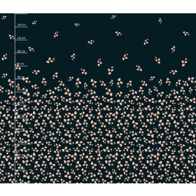 ROSA BLUMEN ms. 4 - Kleid-Panel krepp