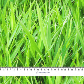 GRÜNES GRAS- Single Jersey mit Elastan ITY