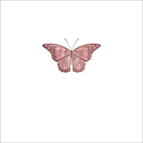 SCHMETERLING M.1 (GLITTER SCHMETTERLINGE) - Paneel 50cm x 50cm
