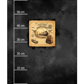 TRAVEL TIME M. 9 - Paneel (60cm x 50cm) SINGLE JERSEY ITY