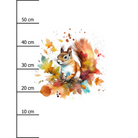 WATERCOLOR SQUIRREL - Paneel (60cm x 50cm) Hydrophober angerauter Wintersweat