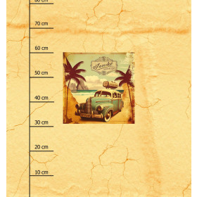 TRAVEL TIME MS. 10 - Panel (75cm x 80cm) SINGLE JERSEY PANEL