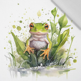 WATERCOLOR FROG - Panel (75cm x 80cm) SINGLE JERSEY PANEL
