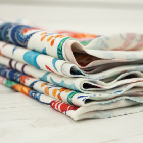 HÄHNE / weiß - bio single jerset mit Elastan TE210 Sommersweat