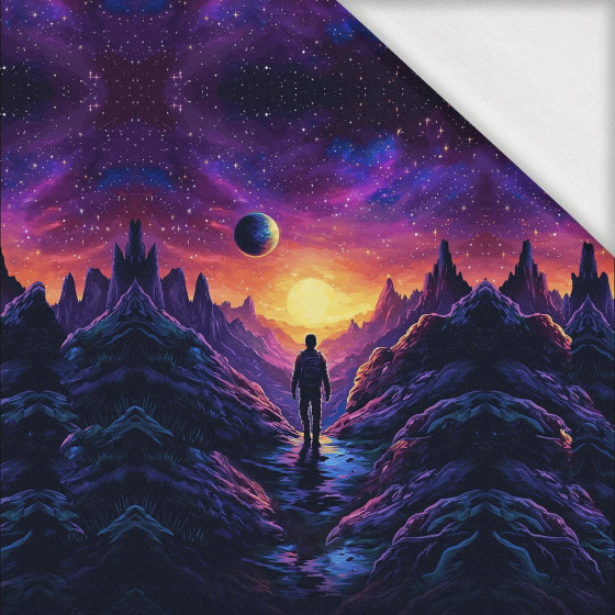 NEON GALAXY WZ.5 - Paneel (60cm x 50cm) Sommersweat mit Elastan ITY