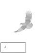 GEOMETRISCHER ADLER (ADVENTURE) - panoramisches Paneel (60 x 155cm)