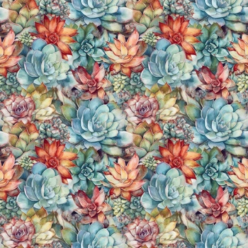 SUCCULENT PLANTS WZ. 7