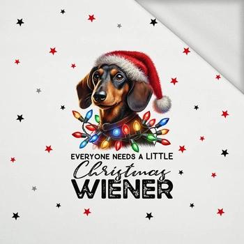 CHRISTMAS DOG wz. 4 - panel (60cm x 50cm) dzianina pętelkowa