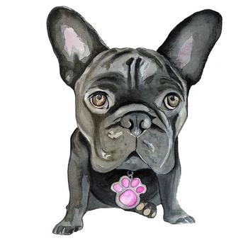 BULDOG / czarny - panel 75cm x 80cm