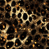 Black & Gold Glamour wz.6