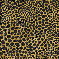 Black & Gold Glamour wz.3