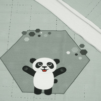 PANDA JANEK (heksagony) / szary - panel single jersey TE210