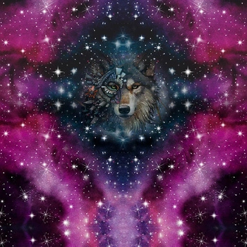 Vlk / Akvarelová galaxie Vz. 8 - panel (60cm x 50cm)