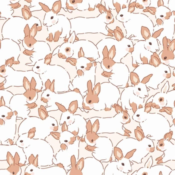 HARES  VZ. 6