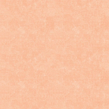 ACID WASH / peach fuzz