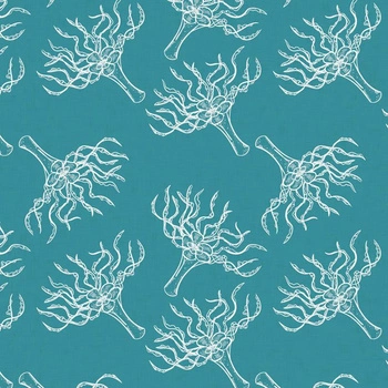 KORALLEN (BLAUER PLANET)