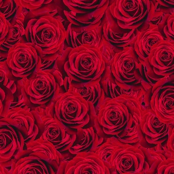 ROSEN