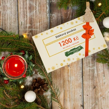 GESCHENKGUTSCHEIN FÜR WEIHNACHTEN - 1200 KČ