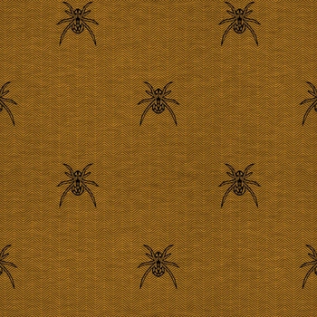 SPINNE / NACHT RUF / senf