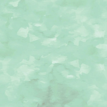 CAMOUFLAGE m. 2 / minze