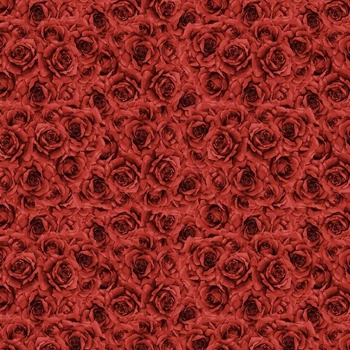ROSEN Ms. 5 (CARO UND ROSEN)