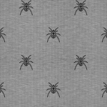 SPINNE / NACHT RUF / grau