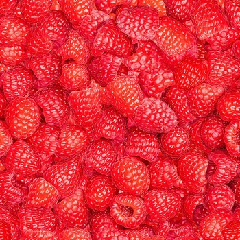 HIMBEEREN