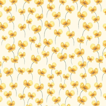 Buttercup / white